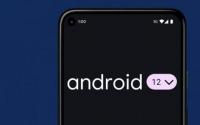 Android12DP3更新使访问保存的密码更加容易