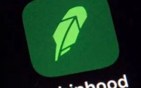 尽管Robinhood除了对波动性的评论之外没有详细说明