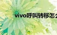 vivo呼叫转移怎么设置在哪找不到