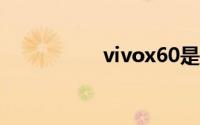 vivox60是塑料机身吗