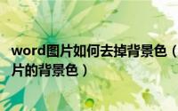 word图片如何去掉背景色（怎样在Word页面里去掉插入图片的背景色）