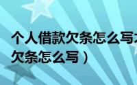 个人借款欠条怎么写才有法律效力（个人借款欠条怎么写）