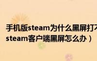 手机版steam为什么黑屏打不开（steam手机版进不去 打开steam客户端黑屏怎么办）