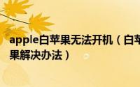 apple白苹果无法开机（白苹果不能开机怎么办iPhone白苹果解决办法）