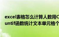 excel表格怎么计算人数用COUNTIF（excel表格如何用countif函数统计文本单元格个数）