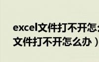 excel文件打不开怎么办图标不正常（excel文件打不开怎么办）