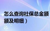 怎么查询社保总金额（如何查询社保缴费总金额及明细）