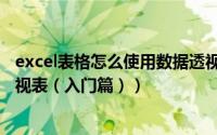 excel表格怎么使用数据透视表（怎样使用Excel中的数据透视表（入门篇））