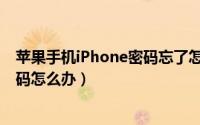 苹果手机iPhone密码忘了怎么办（iPhone苹果手机忘记密码怎么办）