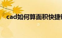 cad如何算面积快捷键（cad如何算面积）