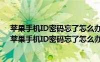 苹果手机ID密码忘了怎么办?一分钟教你如何更改新密码（苹果手机ID密码忘了怎么办 怎样重新设置密码）