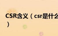 CSR含义（csr是什么意思 对企业有什么意义）