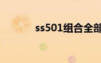 ss501组合全部歌曲（ss501）