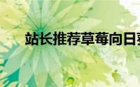 站长推荐草莓向日葵泡芙（站长团购）