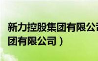 新力控股集团有限公司股权架构（新力控股集团有限公司）