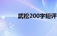 武松200字短评（武松2000版）