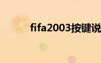 fifa2003按键说明（FIFA2003）