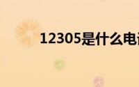 12305是什么电话（123成人式）