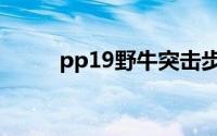 pp19野牛突击步枪（PP19野牛）