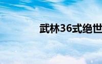 武林36式绝世武功（武林3）