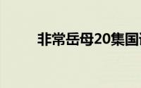 非常岳母20集国语版（非常岳母）