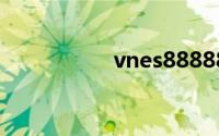 vnes888888（vnes）