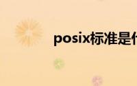 posix标准是什么（POSIX）