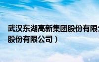 武汉东湖高新集团股份有限公司天眼查（武汉东湖高新集团股份有限公司）