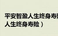 平安智盈人生终身寿险万能型分红（平安智盈人生终身寿险）