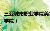 三亚城市职业学院美术生专业（三亚城市职业学院）