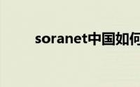 soranet中国如何使用（soranet）