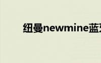 纽曼newmine蓝牙耳机（纽曼N1）