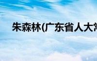 朱森林(广东省人大常委会原主任、省长)