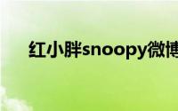 红小胖snoopy微博（红小胖snoopy）