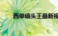 西单磕头王最新视频（西单磕头王）