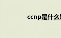 ccnp是什么意思（ccnp）