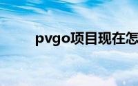 pvgo项目现在怎么样了（PVGO）