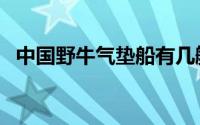 中国野牛气垫船有几艘（中国野牛气垫船）