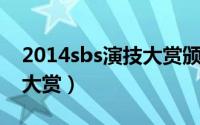 2014sbs演技大赏颁奖典礼（2014SBS演技大赏）