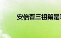 安倍晋三祖籍是哪里（安倍晋三）