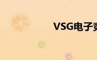 VSG电子竞技俱乐部