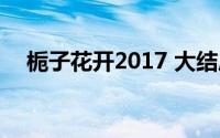 栀子花开2017 大结局（栀子花开2017）