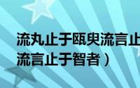 流丸止于瓯臾流言止于智者（流丸止于瓯臾,流言止于智者）