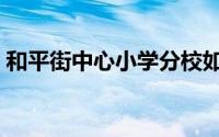 和平街中心小学分校如何（和平街中心小学）