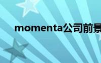 momenta公司前景好吗（Momenta）