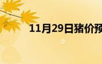 11月29日猪价预测（11月29日）