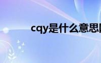 cqy是什么意思网络用语（cqy）