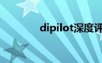 dipilot深度评测（DiPilot）