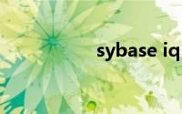 sybase iq（sybase）