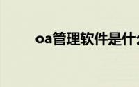 oa管理软件是什么（oa管理软件）